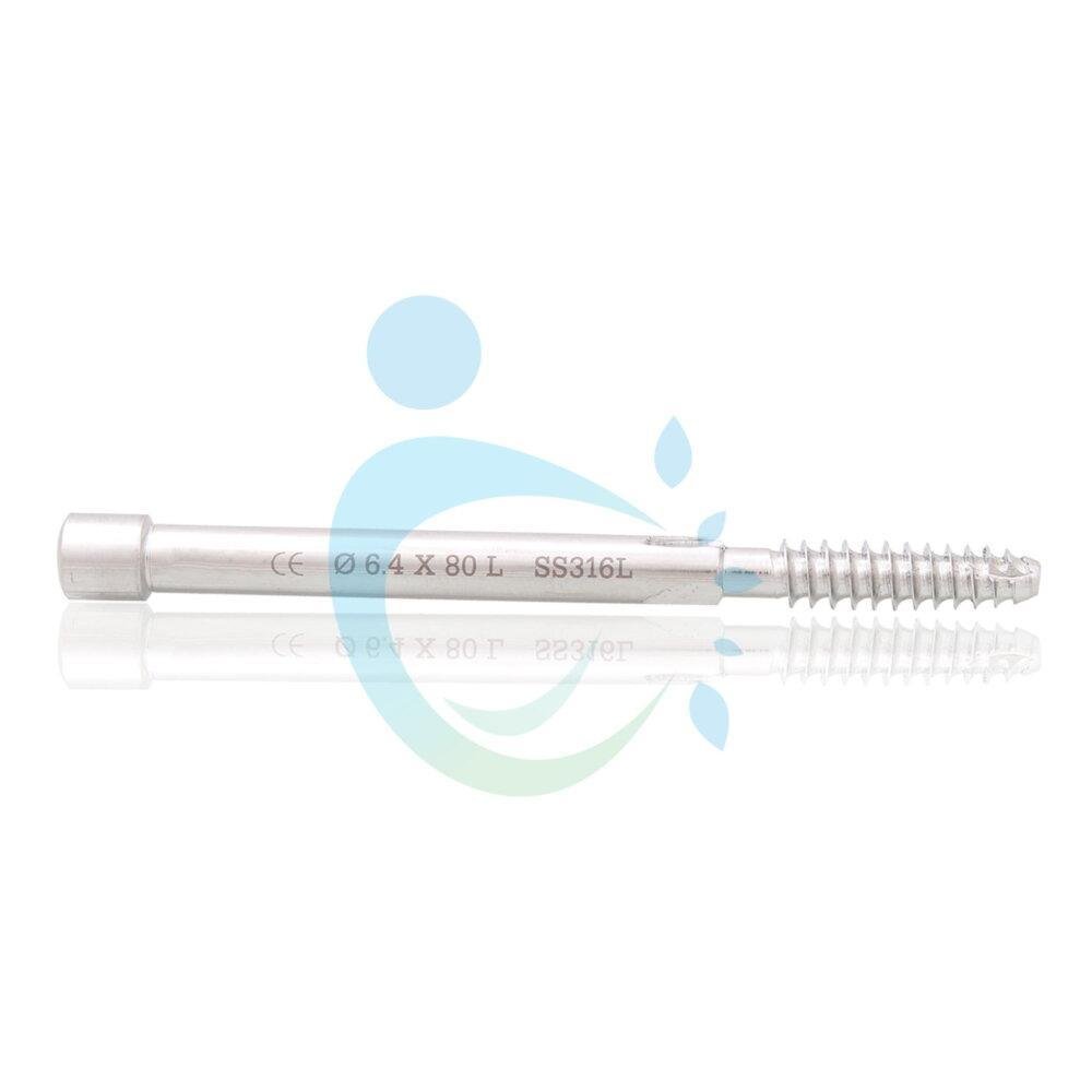 PFN Leg Screw - Dia 6.4mm